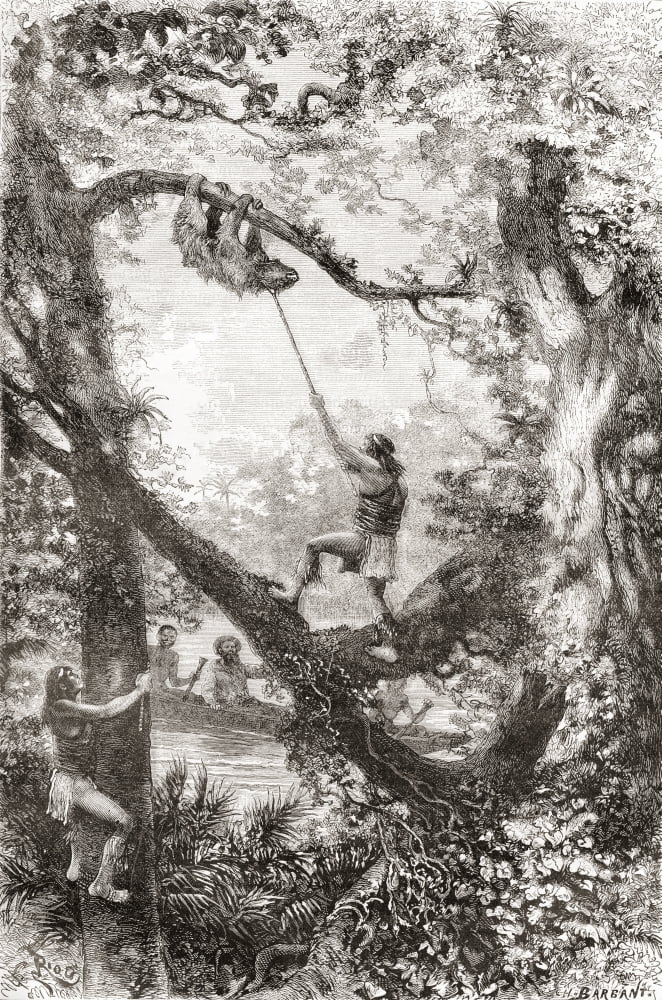 Native Indians capturing a tree sloth on the Oyapock or Oiapoque River South America in the 19th century From Am Canvas Art - Ken Welsh  Design Pics (22 x 34)