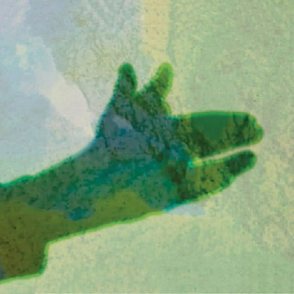 Native Instrument - Camo - Music & Performance - Vinyl