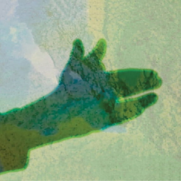 Native Instrument - Camo - Music & Performance - Vinyl