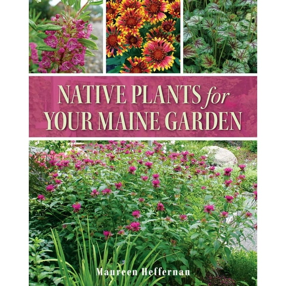 Native Plants for Your Maine Garden, (Paperback)