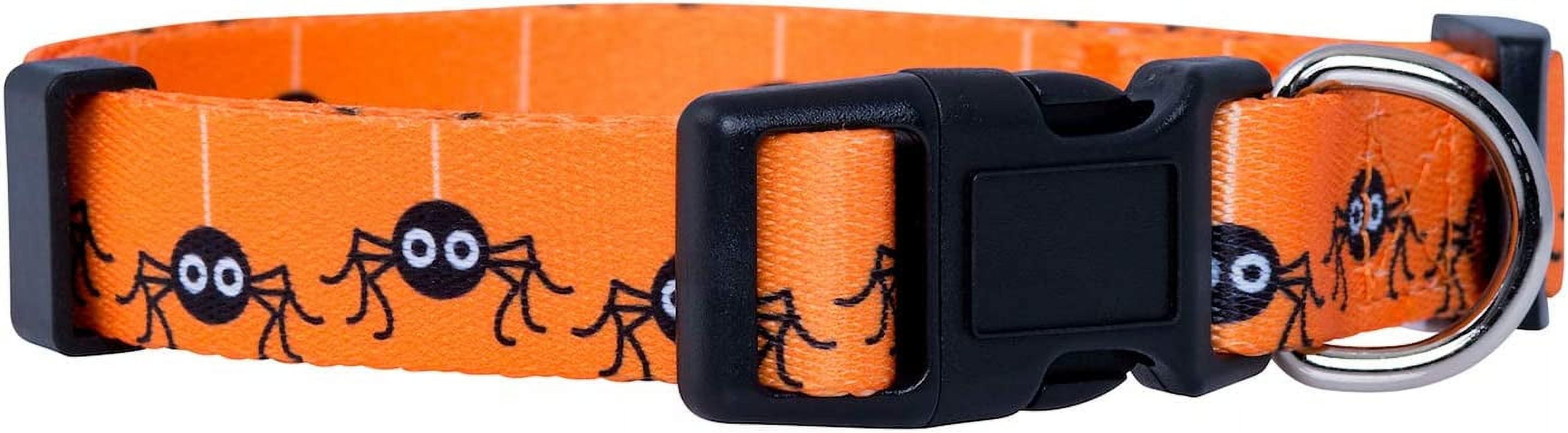 Native Pup Christmas Dog Collar (Small Candy Canes)　並行輸入品 Native Pupchristmas Dog Collar Winter Holiday Collars For Pets