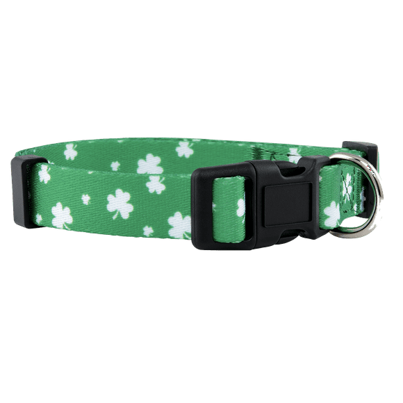 Native Pup St Patrick's Day Dog Collar