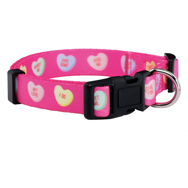 Native Pup Valentine's Day/Heart Dog Collar