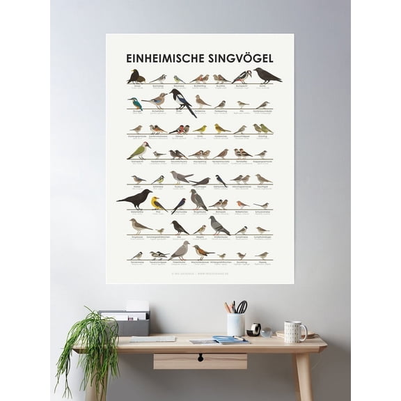 Native Songbirds, Garden Birds, Birds Infographic / Display Board (German) Poster Wall Art, Modern Wall Decor For Living Room Bedroom, 8x12 UNFRAMED
