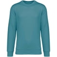 thumbnail image 1 of Native Spirit  Adult Crew Neck Sweatshirt, 1 of 4