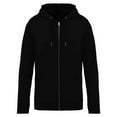 thumbnail image 1 of Native Spirit  Adult Full Zip Hoodie, 1 of 4