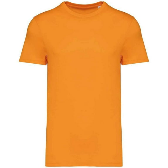 Native Spirit Adult Heavyweight Slim T-Shirt
