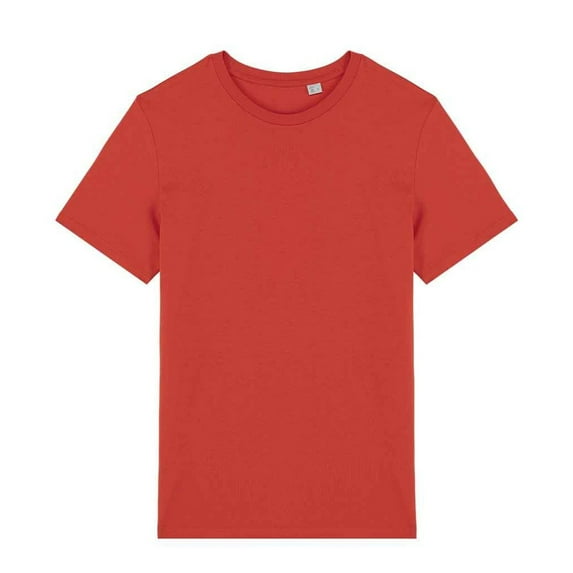 Native Spirit Adult T-Shirt