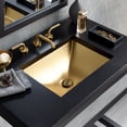 thumbnail image 1 of Native Trails PML2014-G Precious Metals Amara 20" Drop In Or Undermount Single Basin, 1 of 7
