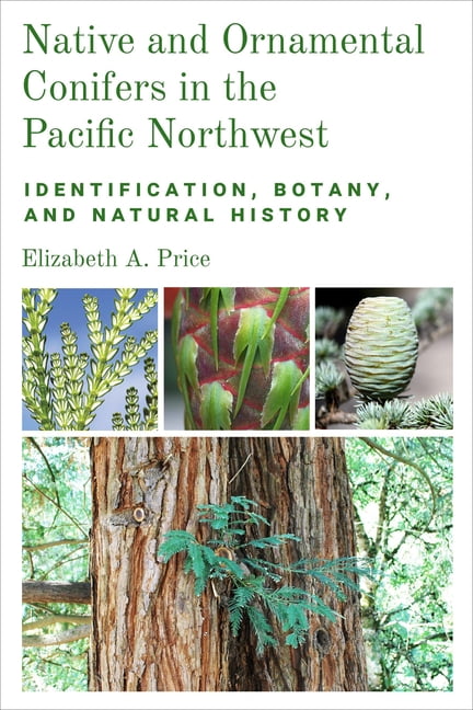 Native and Ornamental Conifers in the Pacific Northwest: Identification, Botany and Natural History, (Paperback)