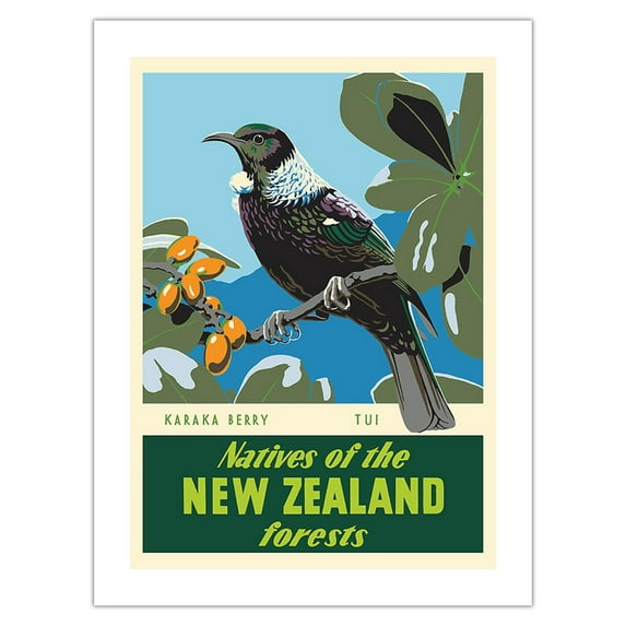 Natives of the New Zealand Forests - Karaka Berry - Tui Bird - Vintage Travel Poster by Marcus King c.1950 - Bamboo Fine Art 290gsm Paper Print (Unframed) 18x24in