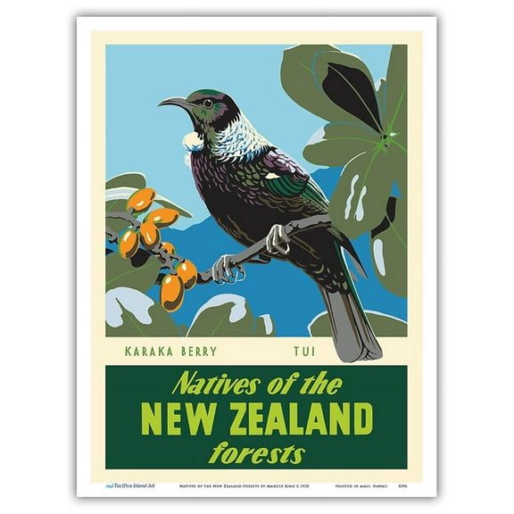 Natives of the New Zealand Forests - Karaka Berry - Tui Bird - Vintage Travel Poster by Marcus King c.1950 - Master Art Print (Unframed) 9in x 12in