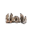 thumbnail image 1 of Dickson's 12-Piece Nativity Holy Family Wise Men Shepherd Angel - Glitter Accents 5.75 x 3 Inch Gold/Brown Resin Collectible Tabletop Figurine, 1 of 1