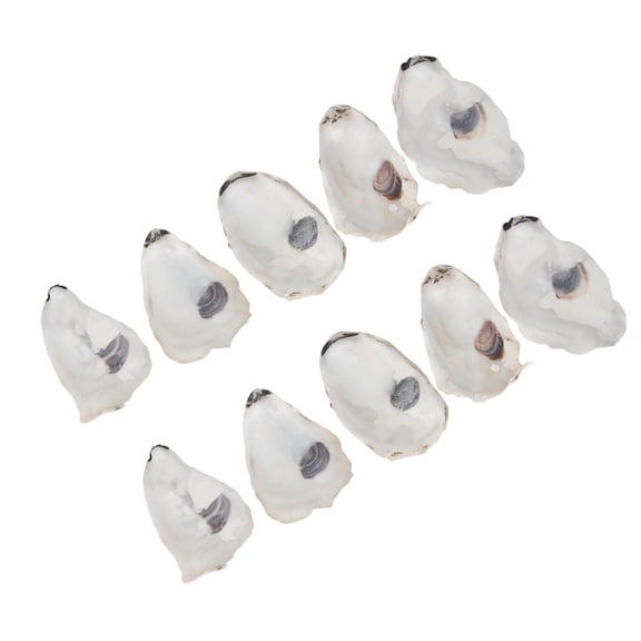 Natrual Seashells for Crafts Natural Oysters Shells for Crafting Christmas Ornament Concave Oysters Shells Beach Decors
