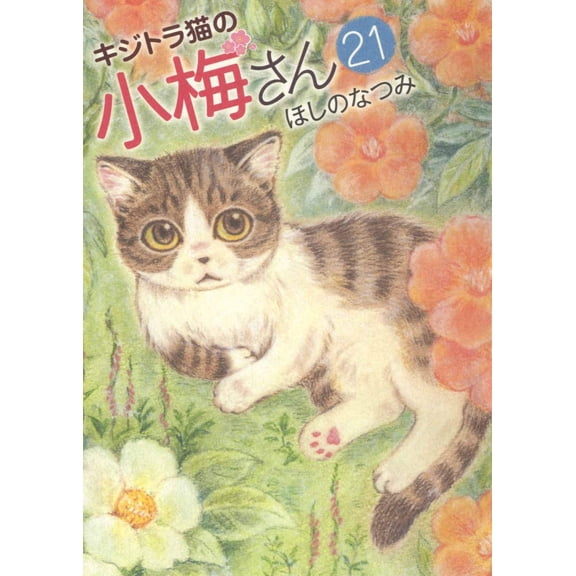 Natsumi Hoshino Tabby Cat Koume 21 (Paperback)