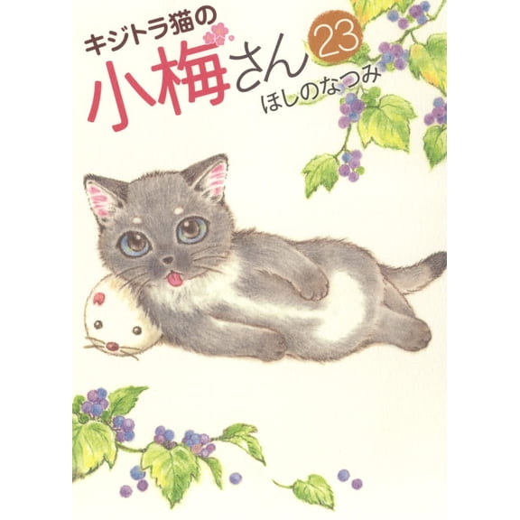 Natsumi Hoshino Tabby Cat Koume 23 (Paperback)