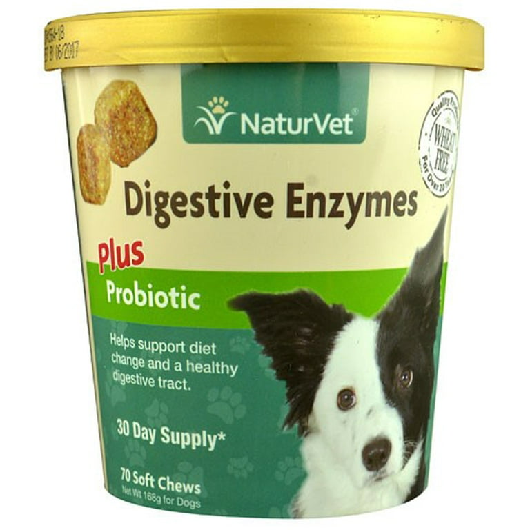 Digestive enzymes hot sale for dogs walmart