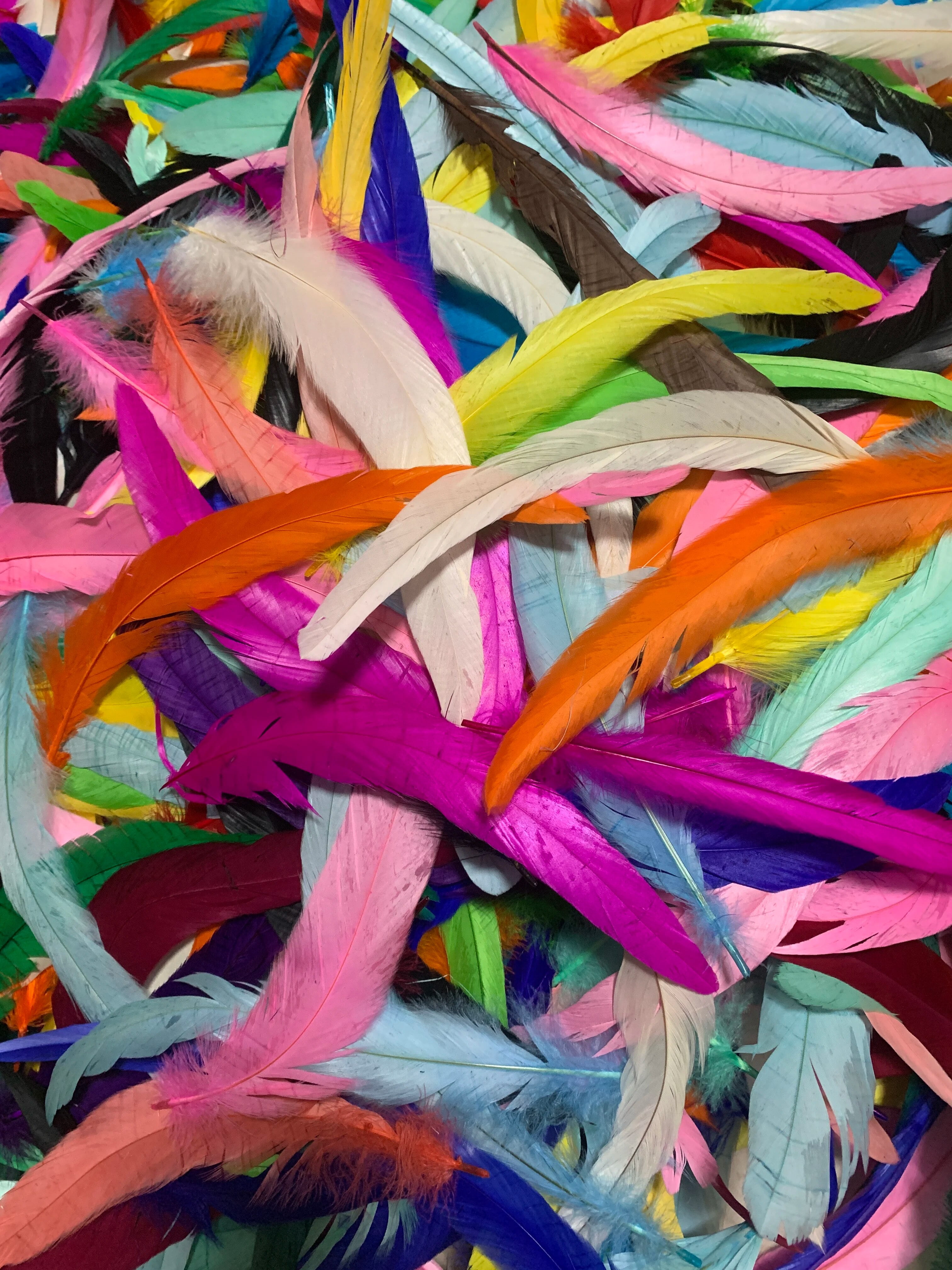 Natural 50pcs Rooster Tail Feather Plumes 2545CM 1018inch Beige DIY