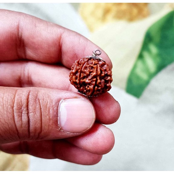 Natural 9 Mukhi Nine Face Rudraksha Bead 925 Silver Cap Rudraksha Pendant