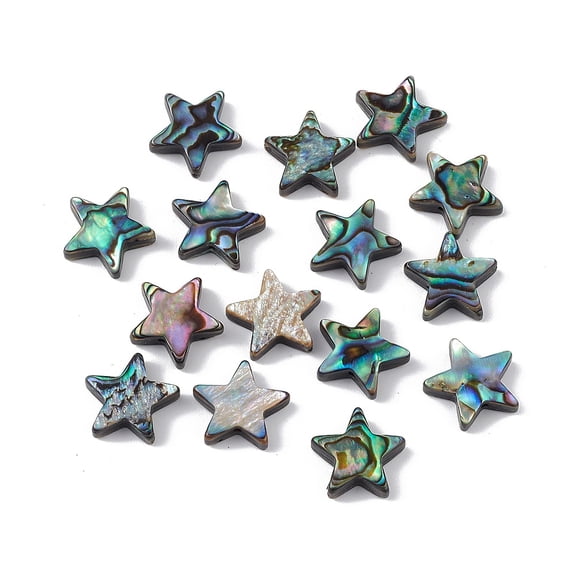Natural Abalone Shell/Paua Shell Beads Star Colorful 12.5x12.5x3.5mm Hole: 0.9mm
