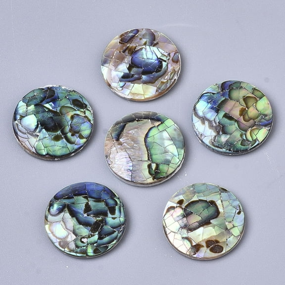 Natural Abalone Shell/Paua Shell Cabochons with Freshwater Shell Flat Round Colorful 16x3mm Paua Shell