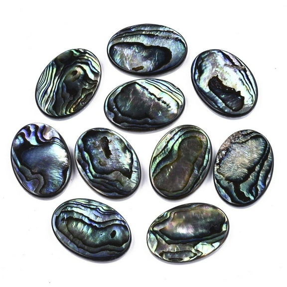 Natural Abalone Shell/Paua Shell Cabochons with Freshwater Shell Oval Colorful 25x18x3mm