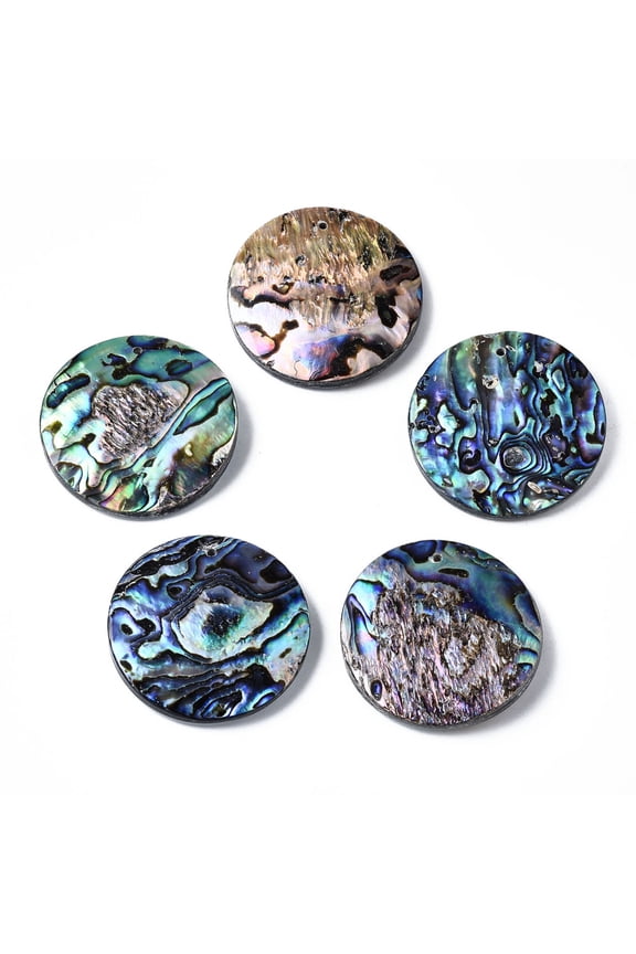 Natural Abalone Shell/Paua Shell Pendants with Freshwater Shell Flat Round 40x6~8mm