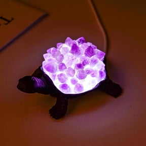 Natural Amethyst Tooth Turtle Night Lamp Healing Crystal Bedroom Bedside Table Lamp USB Port Home Decor Women Men Gift