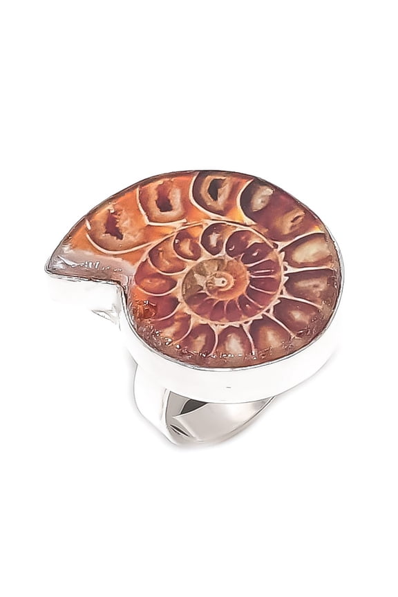Natural Ammonite Fossil Gemstone 925 Sterling Silver Jewelry Ring Size 9