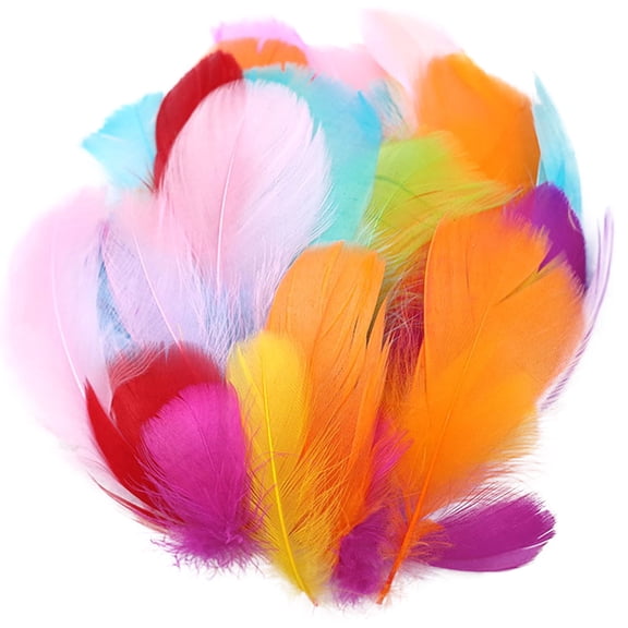 Natural Animal Feather DIY Craft Kit Manual Material Decoration Toy for Kids Art Project