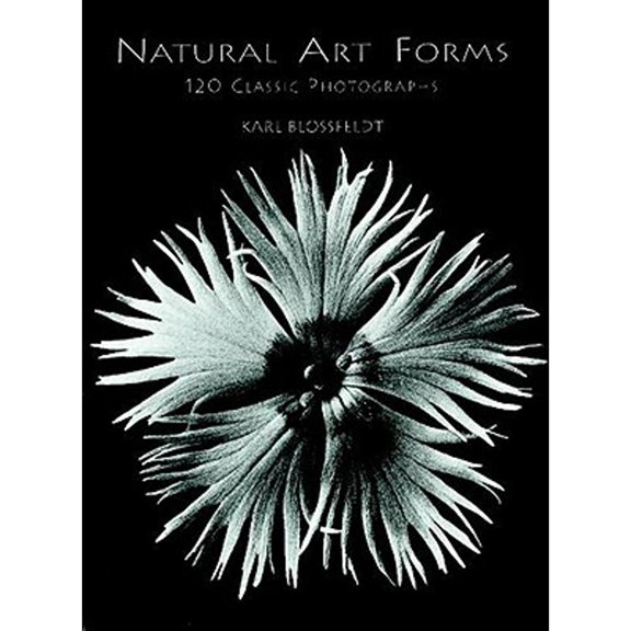 Pre-Owned Natural Art Forms (Paperback) by Karl Blossfeldt