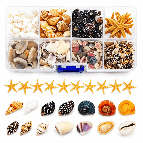 Natural Assorted Seashells Set in 8-Grid Box, Small Conches and Starfish for Hermit Crab Replacement Shells, DIY Crafts, Beach Theme Party and Fish Tank Landscaping