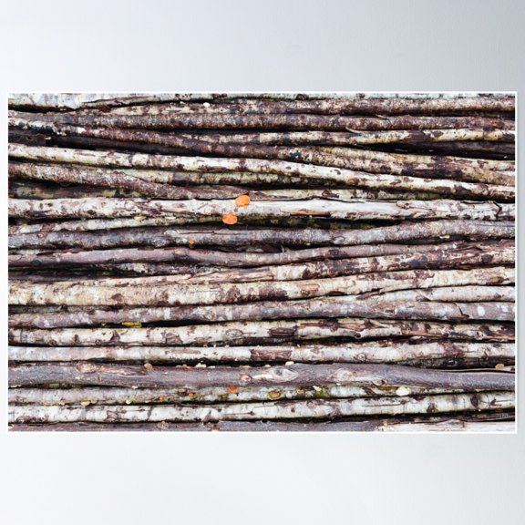 Natural Background Poster Wall Art, Modern Wall Decor For Living Room Bedroom, 8x12 UNFRAMED