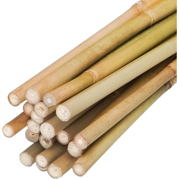 Natural Bamboo Plant Stake,2FT 100pcs,Sturdy Bamboo Poles, Durable Plant Bamboo Stake, Garden Climbing Plant Bracket.
