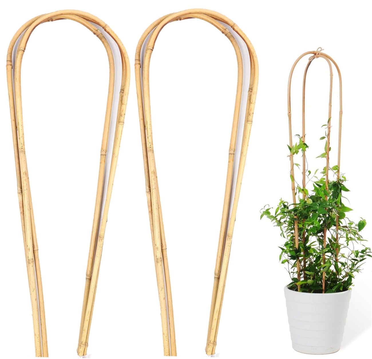 Natural Bamboo Plants Trellis,Bexikou 10 Pack Bamboo U Trellis Support with  Ties,16 Inch U-Shape Plant Stake,Garden Trellis for Plants, Climbing ...
