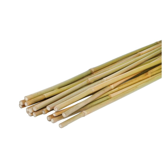 Natural Bamboo Stakes 93 Inch (Approx 8 FEET) for Tomatoes, Beans, Flowers, Potted, Climbing Plants 15pcs