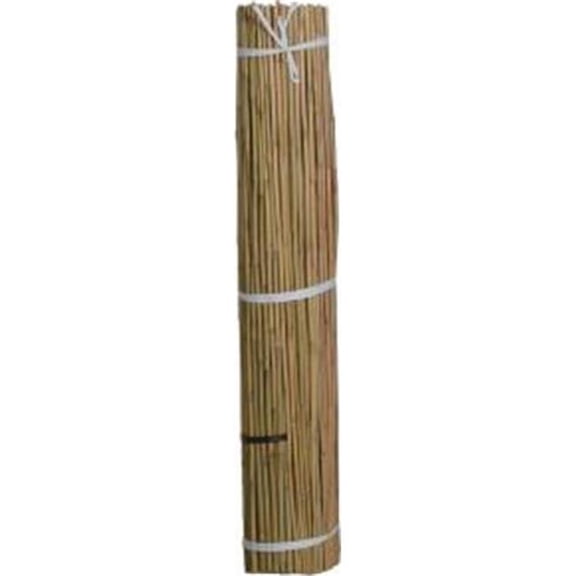 Natural Bamboo Stakes - Natural - 60 in. - Pack of 10 - Eco-Friendly