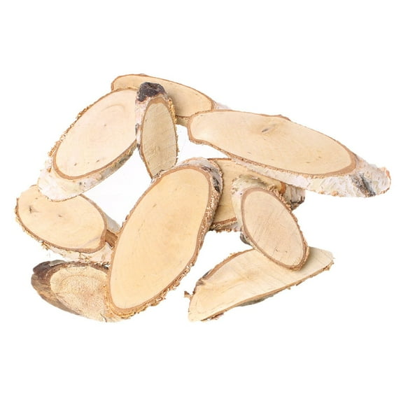 Natural Birch Ornaments Embellishments Findings Irregular Shapes