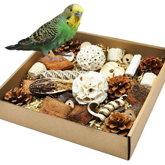 Natural Bird Foraging Toys, Interactive Chewing Toys for Parakeets, Cockatiels, Conures, Love Birds