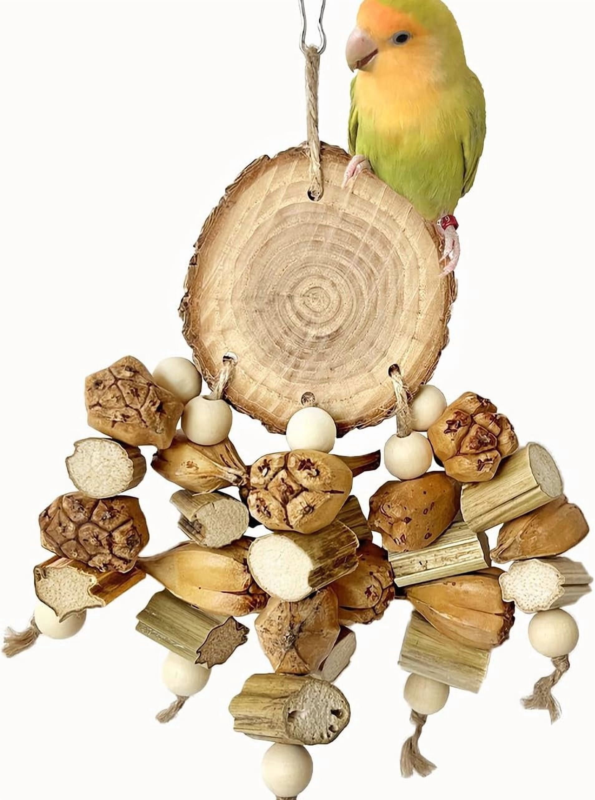 Natural Bird Toys for Parakeet, Parrot, Cockatiel, Budgie, Conures - Foraging Toys