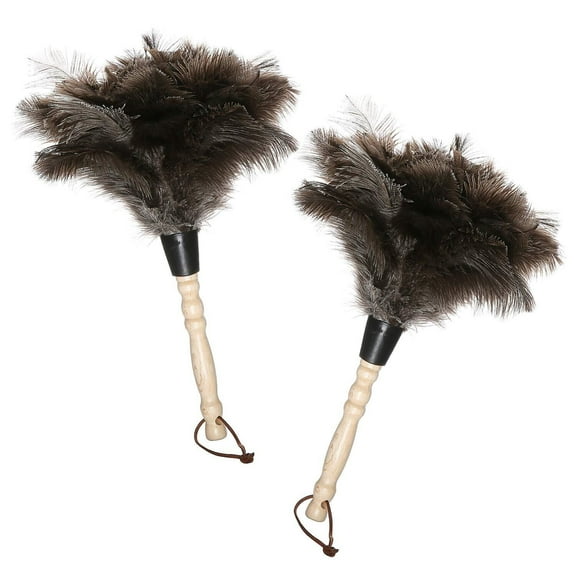 Natural Black Ostrich Feather Duster, 2 Packs Car Duster Interior/Exterior Cleaner, Cleaning for Blinds Kitchen Keyboard Office, Smart and Soft and Fluffy (Black)