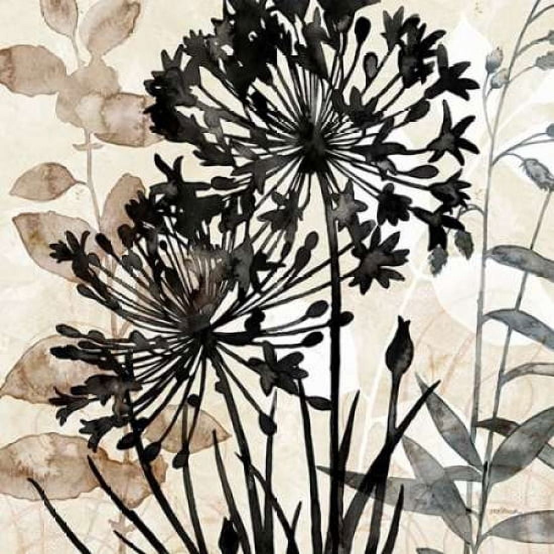 Natural Botanical 2 Canvas Art - Melissa Pluch (24 x 24)
