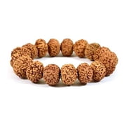 Natural Brown 7 Mukhi Rudraksha Bracelet for Men and Women 7 Face Rudraksha Bracelet, Seven Face Rudraksha