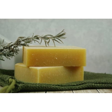 Natural Campers Shampoo & Body Bar - Insect