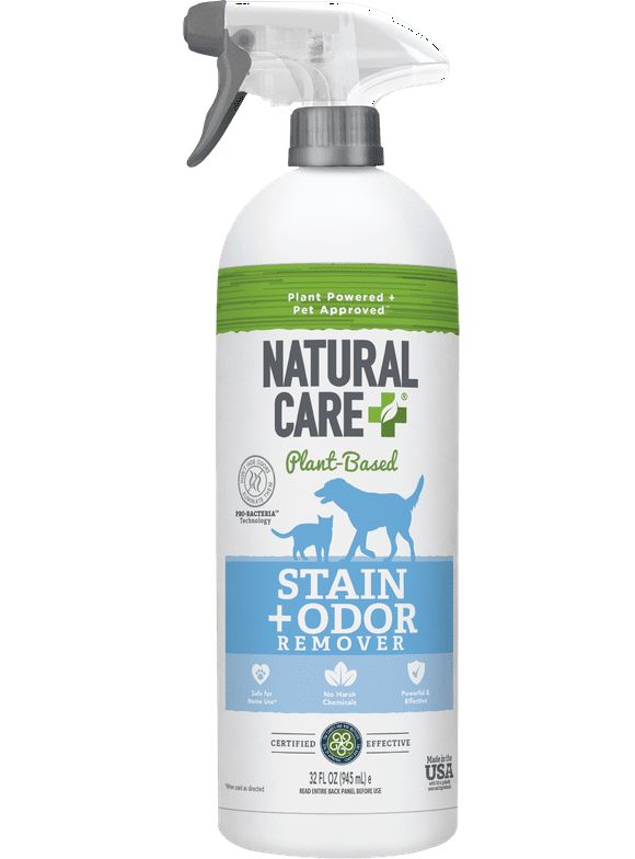 Cat Training and Cleaning in Cats