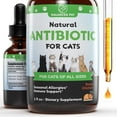 Natural Cat Antibiotics for Cats Cat Antibiotics for Cats Cat Antibiotics for UTI
