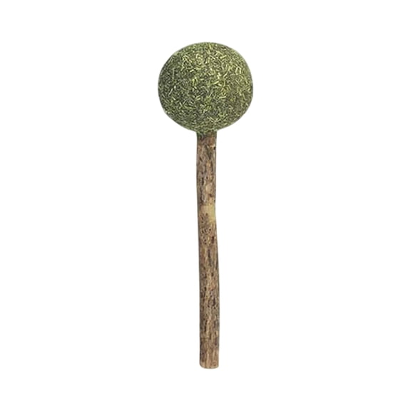 Natural Catnip Lollipop Toy, Silvervine Chew Sticks for Dental Health, Organic Cat Treats, Interactive Licking and Biting Toy, Feline Teething Relief Accessory