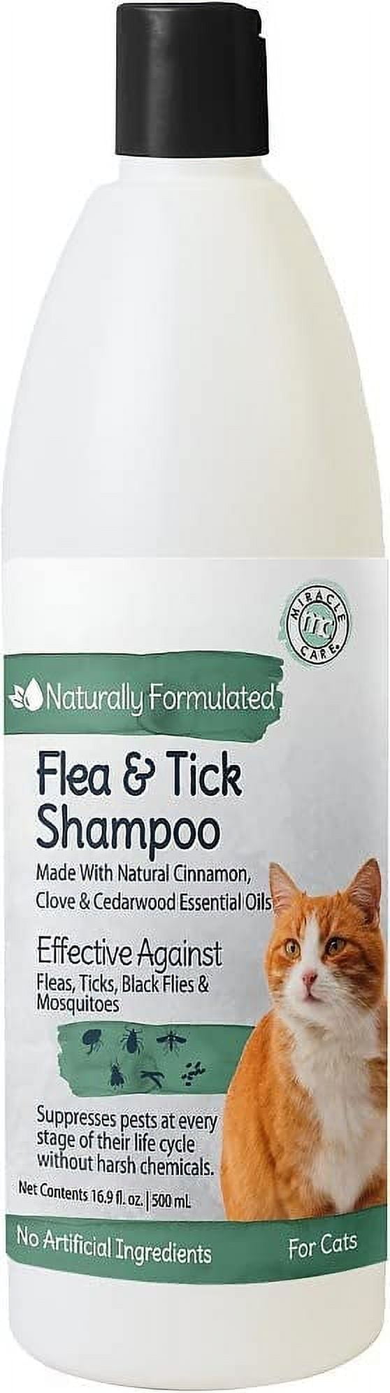 Homemade hot sale flea bath