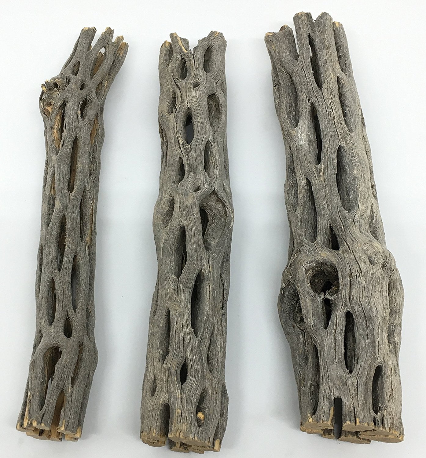 Natural Cholla / Choya Wood 3 Pieces 6 for Shrimp habitat and food
