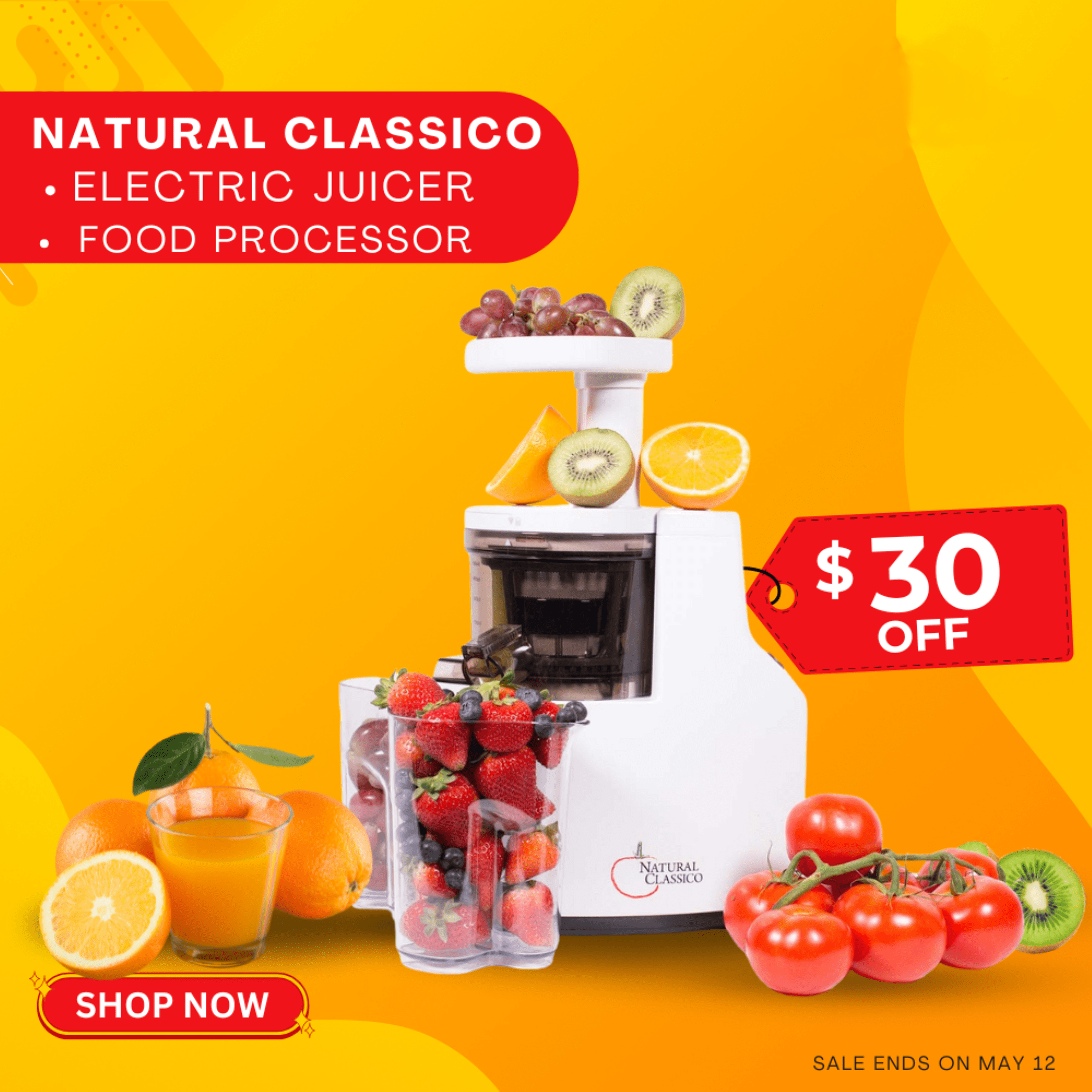 White Electric Slow Masticating Juicer with Reverse Function